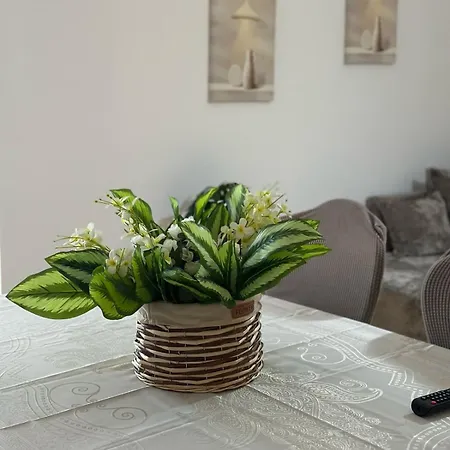 Himara Apartaments *