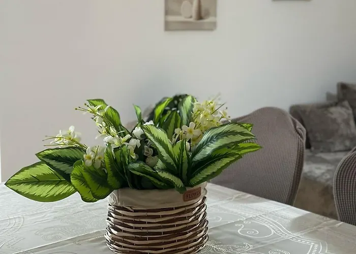 Himara Apartaments *